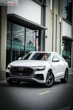 Xe Audi Q8 55 TFSI S-Line Quattro 2021