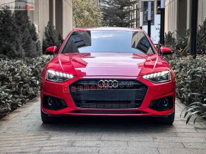 Xe Audi A4 40 TFSI Advanced Plus 2024